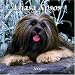 Lhasa Apsos 2006 Calendar