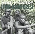 Mbuti Pygmies of Ituri Rainforest