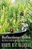 Review Little Brown & Co (T)  / Reflections of Eden: My Years With the Orangutans of Borneo
