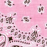 Carolina Have, A, Hank Paisley Bandannas, 22-Inch by 22-Inch, Light Pink
