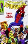 Asombroso spiderman, el - �crisis en...