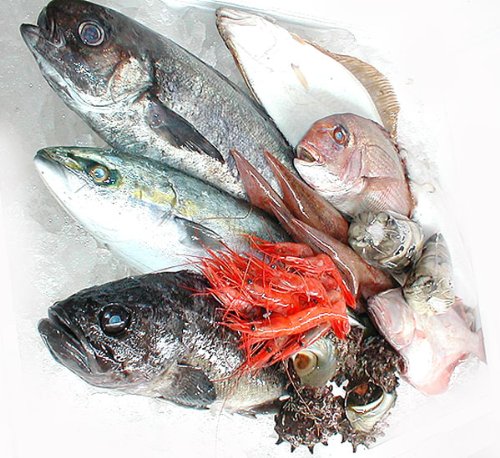 佐渡産天然鮮魚セットＡ