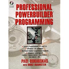 More Professional Powerbuilder 4.0 Programming