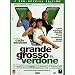 Grande Grosso E Verdone (SE) (2 Dvd)