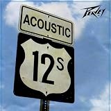 Peavey Acoustic 12s Phosphor Bronze Strings