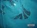 70% Pashmina 30% Silk Pashmina shawl wrap- hand embroidery & sequins.