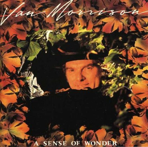 Van Morrison - A Sense Of Wonder (Rm) - Zortam Music