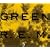Green (CD + DVD-A) (Dig)