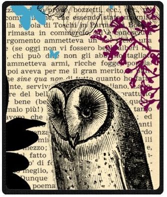 Nice Vintage Owl Fleece Throw Blanket - Blanket 50" x 60" (Medium)