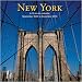 New York 2010 Wall Calendar