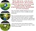 The Quick and Easy Marketing, Success Principles and Inner Game for Laser Pointer Pens Web Biz 3 CD Course