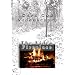 DVD Video Fireplace - Cape Cod Videoscapes Vol. 1