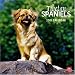 Tibetan Spaniels 2010 Square Wall (Multilingual Edition)