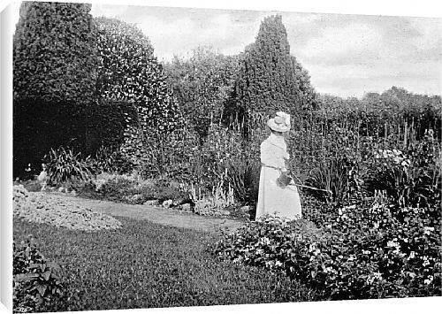 Canvas Prints of Castlewellan from Country Life Canvas Prints of Castlewellan from Country Life