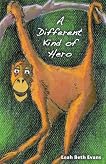 A Different Kind of Hero A Different Kind of Hero