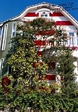 蜷川実花写真集『UMEZZ HOUSE』