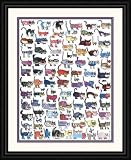 100 Cats and a Mouse by Vittorio - Framed Artwork