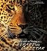Leopards and Cheetahs: The Lords of the Savannah (Art of Being...)
