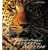 Leopards and Cheetahs: The Lords of the Savannah (Art of Being...)