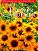 book cover unavailable