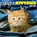 2012 Curious Kittens Wall calendar