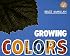 Growing Colors