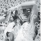 Click here to buy Verspertine Dualdisc by  Bjork .