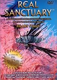Real Sanctuary: Featuring the Music of Hilary Stagg
