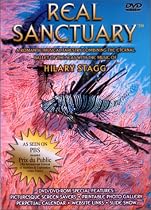 Real Sanctuary: Featuring the Music of Hilary Stagg