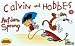 Calvin und Hobbes, Kleinausgabe, Bd.1, Auf dem Sprung