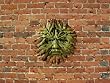 samire the greenmen of summer statue wall sculpture