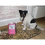 Hunde-Liebe von Marlis E. Hornig