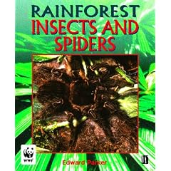 Insects and Spiders (Rainforests)