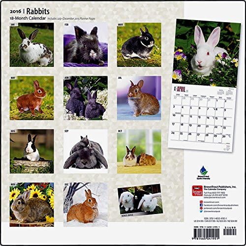Rabbits 2016 Wall Calendar (12x12)