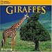 National Geographic Giraffes 2009 Calendar