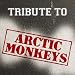 Search : A Tribute to Arctic Monkeys