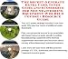 Book The Secret Generate Extra Cash, Inner Game and eCommerce for Mountaineering Equipment Web Biz 3 Course + Resource Guide