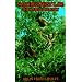 Nature's First Law: The Raw-Food Diet