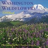 Washington Wildflowers (Washington Littlebooks)