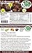 Low Carb Brownie Mix - LC Foods - All Natural - No Sugar - Diabetic Friendly - 10.8 oz