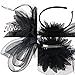 Coolr Women's Fascinators Hat Small Hairpin Feather Mesh Flower Hairclip (Black)