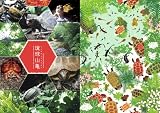 カメが好き! かめ亀KAME図鑑 (P‐Vine BOOKs) 画像