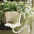 Lotus Sconce, Side Mount Pot Holder - Cream