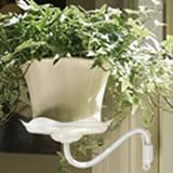 Lotus Sconce, Side Mount Pot Holder - Cream