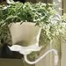 Lotus Sconce, Side Mount Pot Holder - Cream