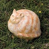 Cat Portly Large
