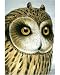 Photographic Print of Lithograph Illustration Short-eared Owl -from J Gould Birds of Great... from A