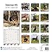 Doberman (US) Calendar - Only Dog Breed Doberman (US) Calendar - 2016 Wall calendars - Dog Calendars - Monthly Wall Calendar by Avonside