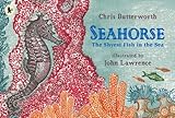Seahorse : the shyest fish in the sea