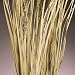Dried Ornamental Wild Grass